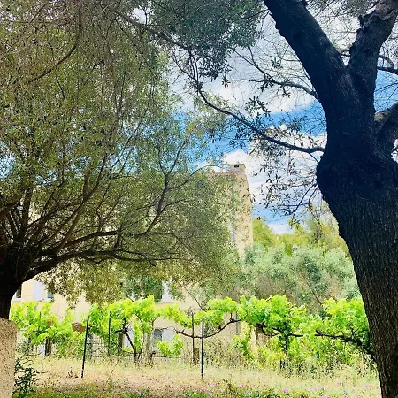 2 2 Salles De Bains Haute Апартаменти Порто-Веккіо