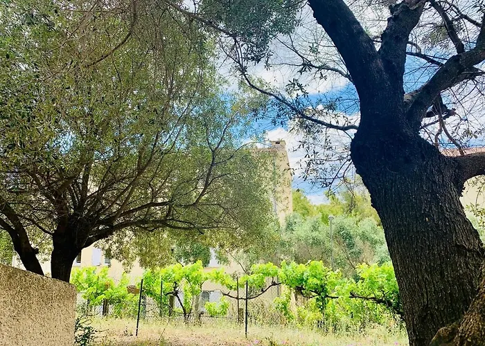 2 2 Salles De Bains Haute 公寓 维琪奥港